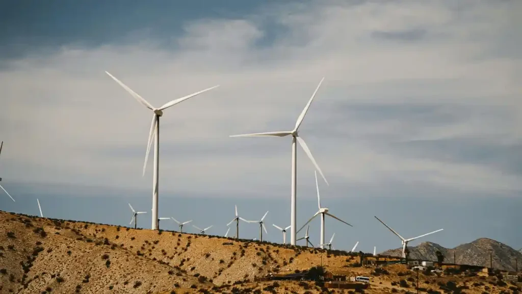Empresas adotam energia solar e reduzem impactos ambientais